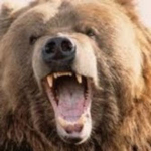 Meet your Posher, Todd